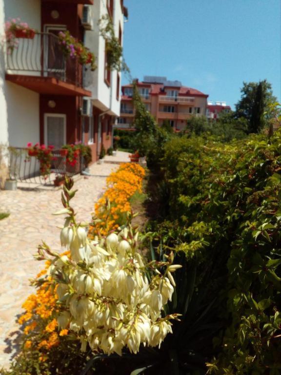 Apartments Ivelin لوزينيتس المظهر الخارجي الصورة